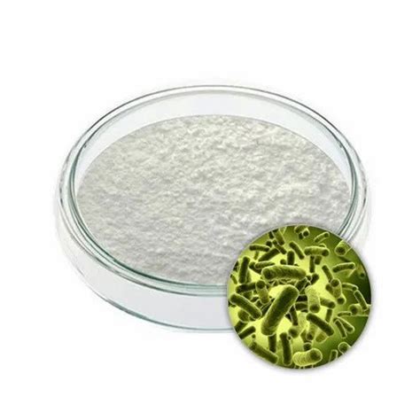 Enzymes & probiotics - Lysozyme Trader - Retailer from Ahmedabad