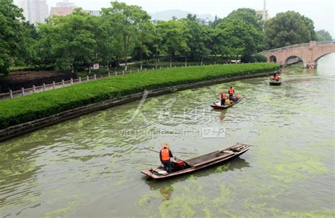 浙江台州：清理绿藻 守护河道-人民图片网