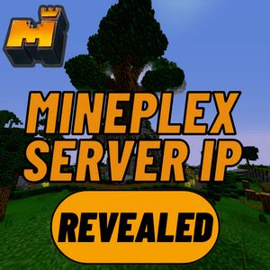 Image result for Mineplex Server IP Java