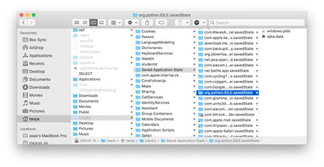 Remove Python Windows 的图像结果