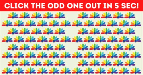 Image result for Fast Teste Challenge