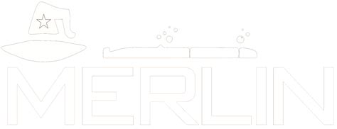 Image result for Merlin Project