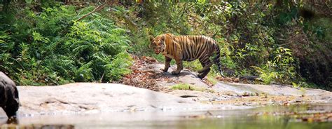 Parambikulam Wildlife Sanctuary, Palakkad - Experience Kerala