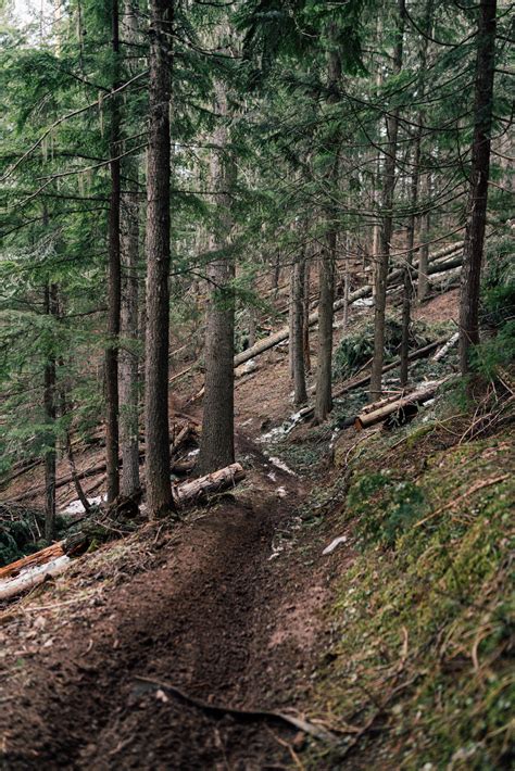 Canfield Mountain Cda