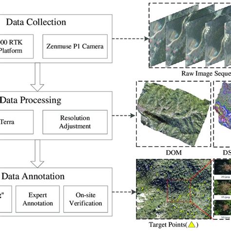 Raw Data 的图像结果