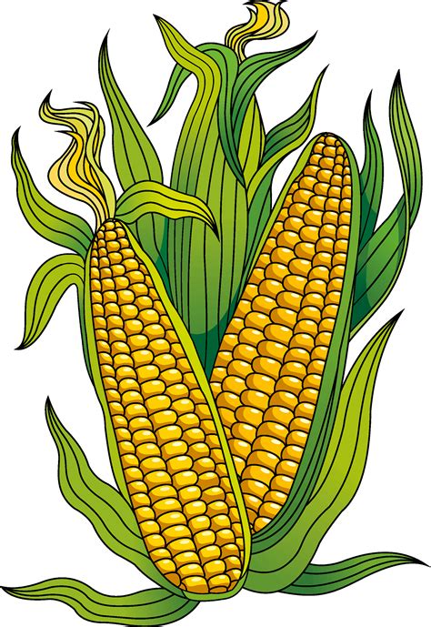 Clipart Corn