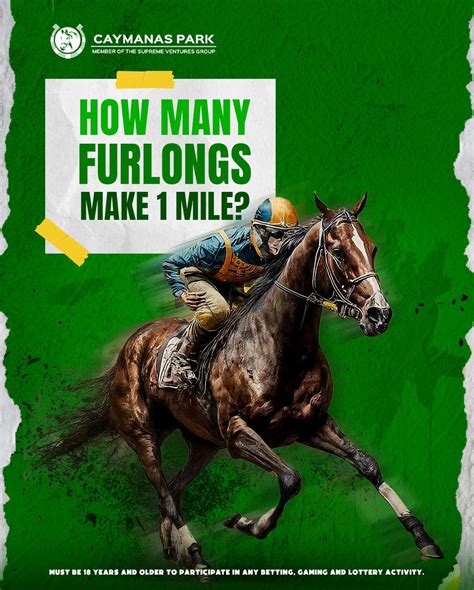 Caymanas Park Racing | Horse Racing Track (@caymanasracing) • Instagram ...