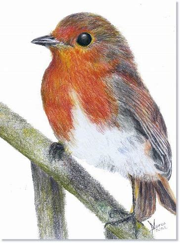 pencil sketch photo gallery