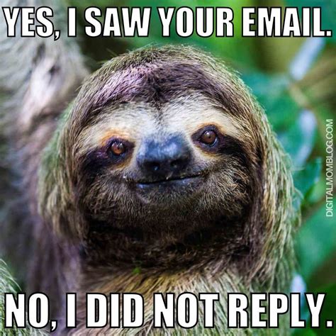 Laugh at your inbox the funniest email memes around – Artofit