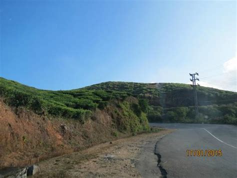 Mundakayam Ghat, Vagamon - Tripadvisor