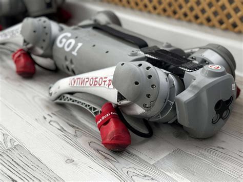 UniTree Go1 Pro Rwview 的图像结果