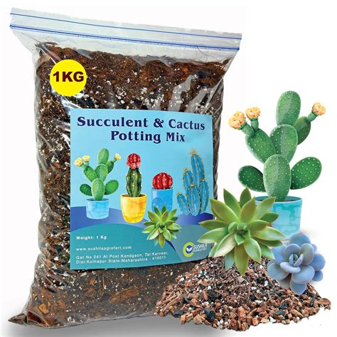 Sushila Agrofert's Succulent and Cactus Potting Mix, Ready to Use ...