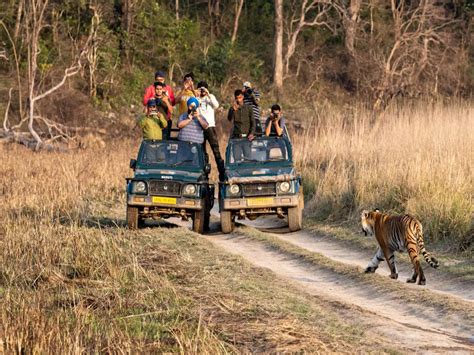 Jim Corbett National Park safari tips; Do’s and Don'ts, - TimesTravel