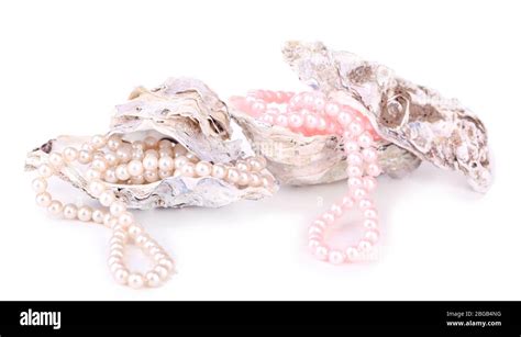 Pearl necklace oyster shells hi-res stock photography and images - Alamy