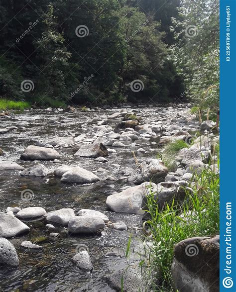 Lewisville Regional Park stock image. Image of flower - 225887099