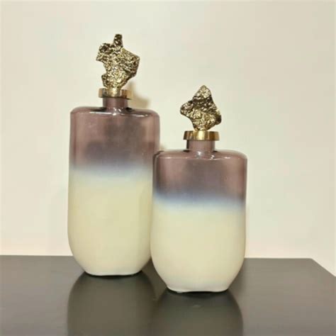 Aurora Collection's Straight-Sided Bottle Vase - set of 2 vases ...