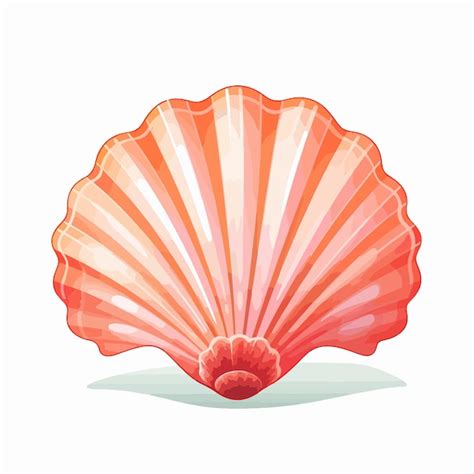 Image result for Sea Shell Animates