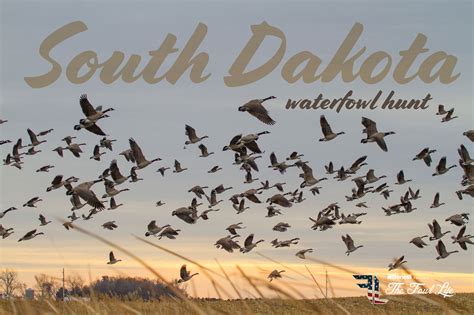 Is There Good Hunting In South Dakota at Sam Mcclendon blog