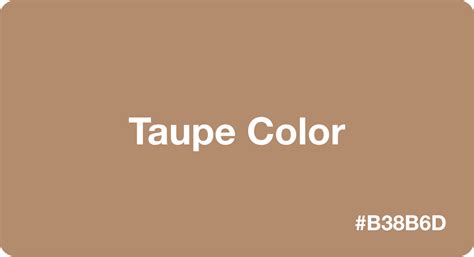 Taupe Color: Best Practices, Color Codes, Palettes & More!