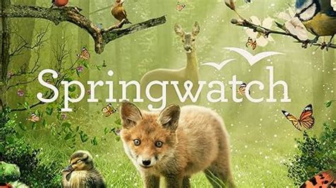 Image result for Springwatch 2009