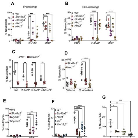 Slc46 Structure 的图像结果