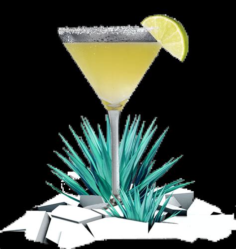 Jose Cuervo - World of Tequila