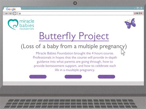 Purple Butterfly Meaning: Spiritual & Cultural Significance