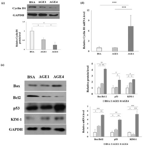 IJMS | Special Issue : Recent Advances in Molecular Mechanisms of ...