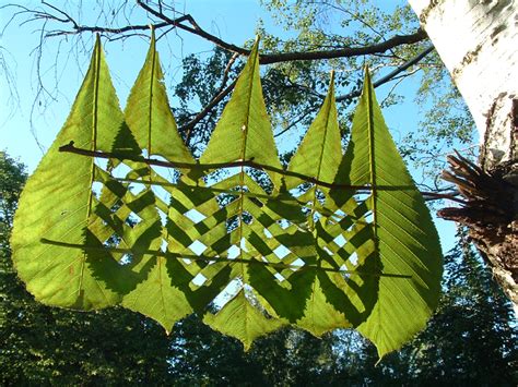 Image result for Python Turtle Flag