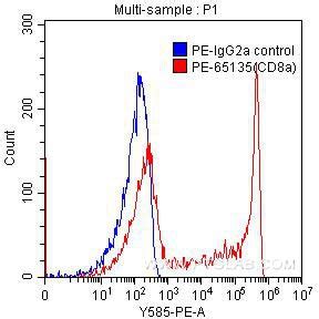 CD8A Fusion Protein Ag11370 | Proteintech