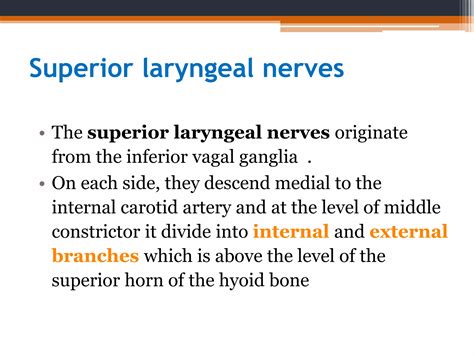 Nerve supply of larynx & laryngeal paralysis | PPTX