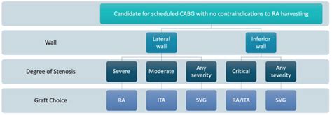 Reconstruction Technique Options for Achieving Total Arterial ...