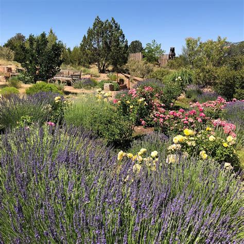 santa fe botanical garden map - Lani Pritchard