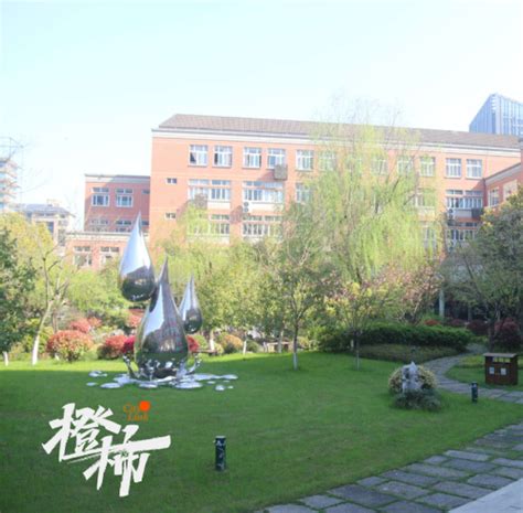 杭州第二中学滨江校区艺术特长生考试好考吗 - 哔哩哔哩