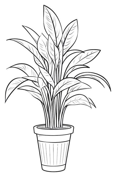 Houseplant coloring page Images - Free Download on Freepik