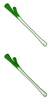 Image result for Trim While Space From a String Using Python