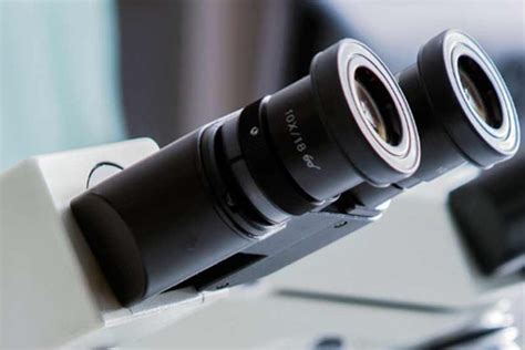 Rohana Veterinary Diagnostic Lab