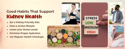 7 Everyday Habits Secretly Ruining Your Kidney Health (And How to Fix Them)