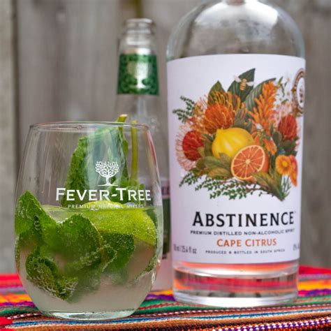 Alcoholvrije drankjes: 7x alternatieven voor gin en wijn | Toost aan Tafel