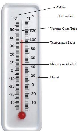 Answer the following with the help of figure: What is the tube of the ...