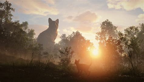 Image result for Flow Films