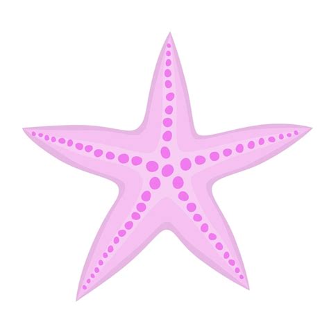 Clipart Seestern Bilder - Kostenloser Download auf Freepik