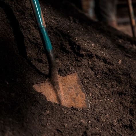 Dirt Removal Sydney - VIP Landscapes