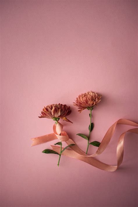 Pink Background Hd Mobile Wallpapers 4k - Infoupdate.org