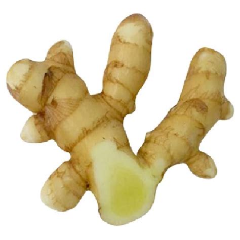 Fresh Vegetables Delivered In Surat, Adajan, Vesu, Pal, Bhatar, Rander ...