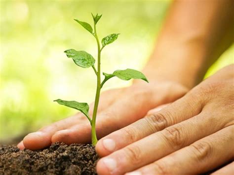 Shradh 2021: For The Satisfaction Of The Ancestors, Shraddha Should Be ...