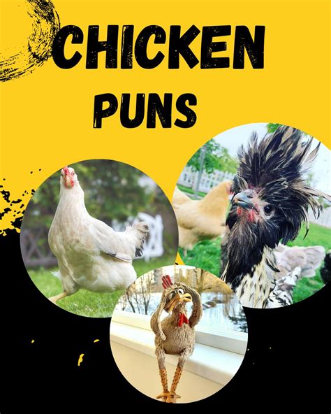 Best Chicken Pun Names at Scott Trainor blog