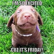 Image result for Good Morning Friday Animals