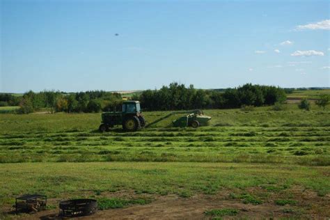 Image result for ranching