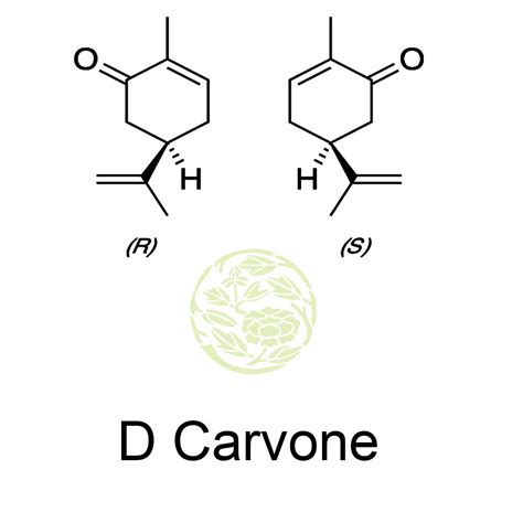 D Carvone, Carvone